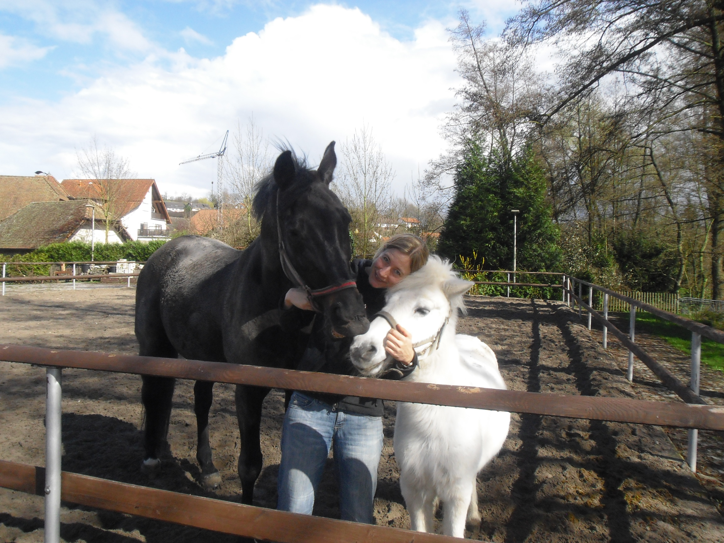 Pony Benni mit schwarzem Pferd Quick Silver