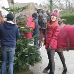 Pferd und Mensch haben Freude am Weihnachtsbaum