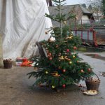 Weihnachtsbaum für Pferde auf dem Pferdehof